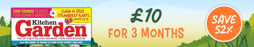£10 for 3 months. Save 52%