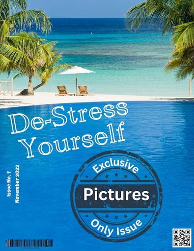 De Stress Yourself magazine