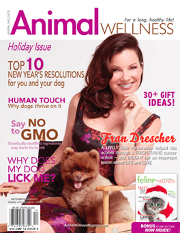 Animal Wellness magazine