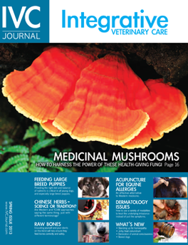 IVC Journal Integrative Veterinary Care Journal magazine cover