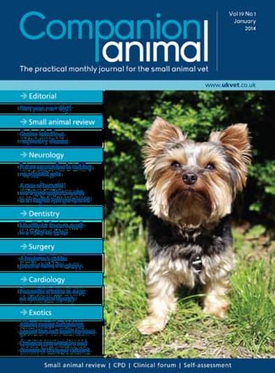 Companion Animal magazine cover