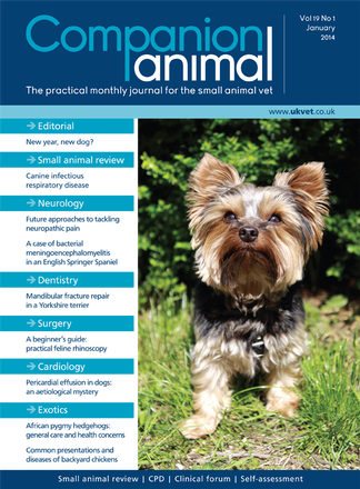 Companion Animal magazine cover