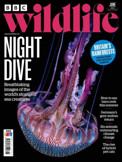 BBC Wildlife magazine cover