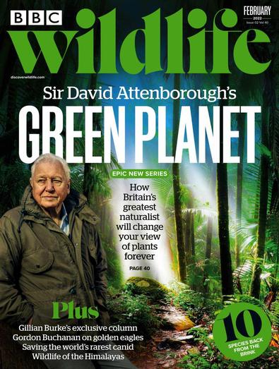 BBC Wildlife magazine cover