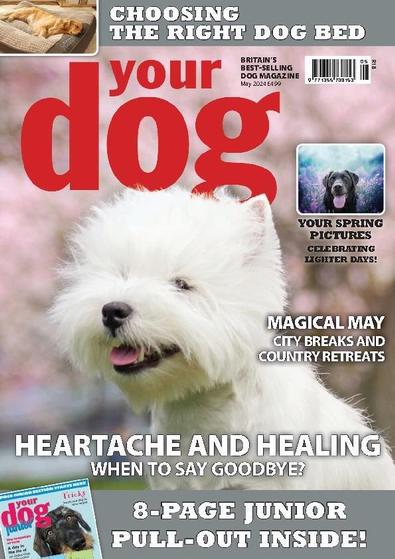Your Dog digital cover