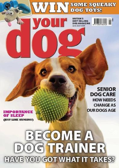 Your Dog digital cover