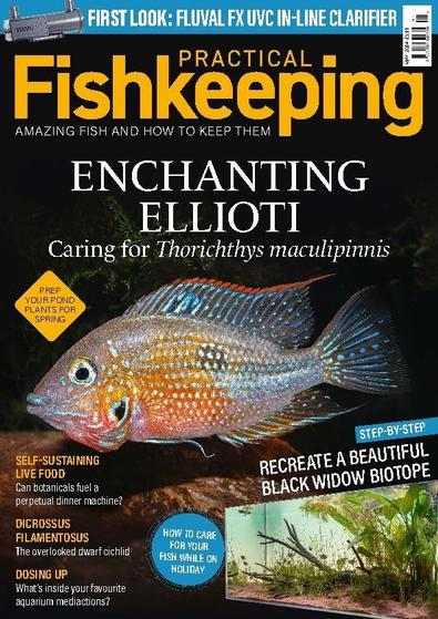 Practical Fishkeeping digital cover