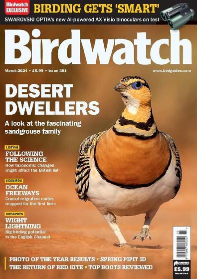 Birdwatch digital cover