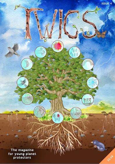 Twigs magazine cover