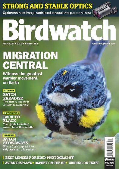 Birdwatch magazine cover