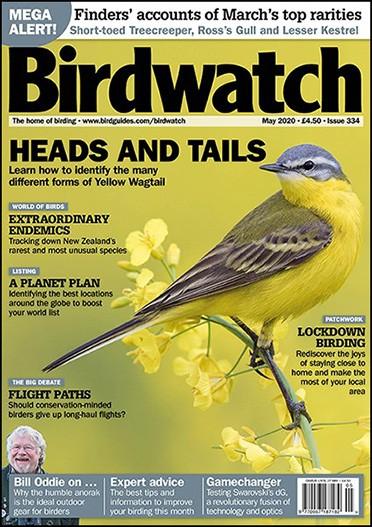 Birdwatch magazine cover