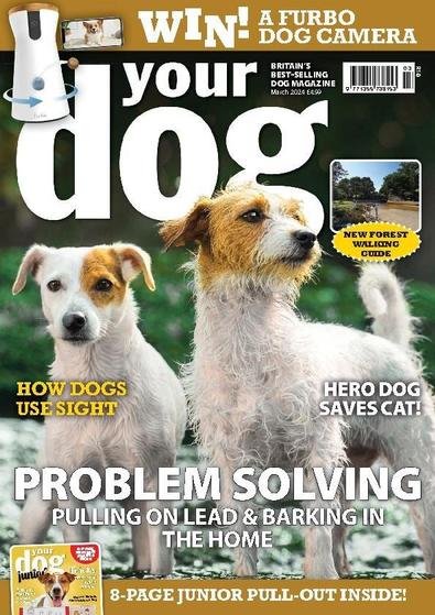 Your Dog magazine cover
