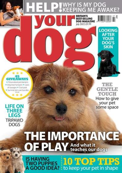 Your Dog magazine cover