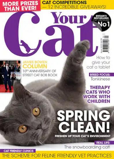 Your Cat magazine cover