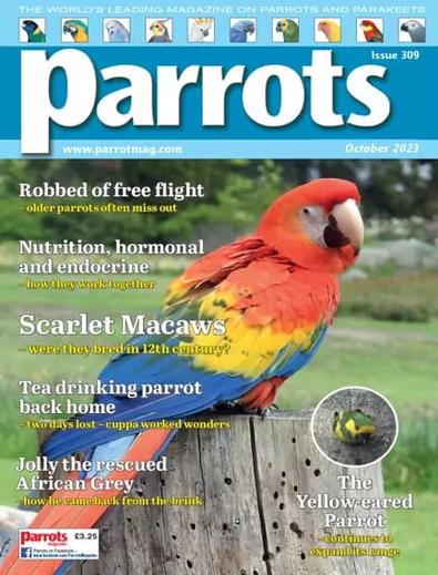 Parrots magazine cover