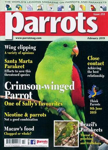 Parrots magazine cover
