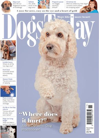 Dogs Today magazine cover