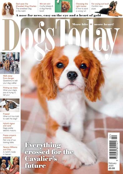 Dogs Today magazine cover