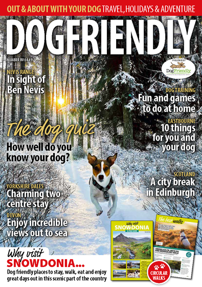 DogFriendly magazine cover