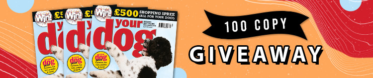 Your Dog magazine giveaway 100 copy giveaway 